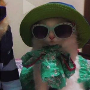 Meet your Posher, Milana